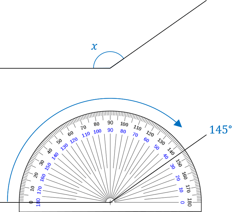 measuring angles with a protractor